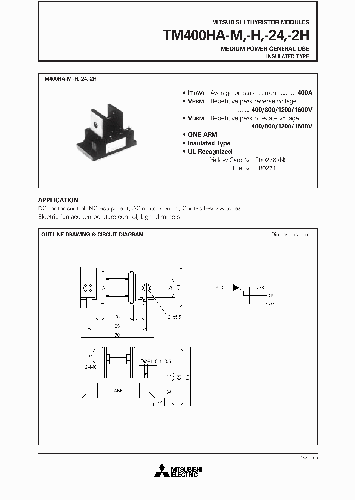 TM400HA-24_66414.PDF Datasheet
