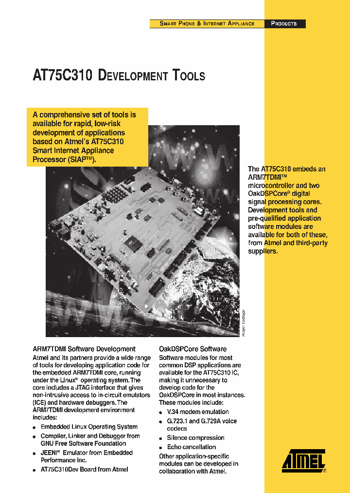 AT75C310NBSP_440982.PDF Datasheet