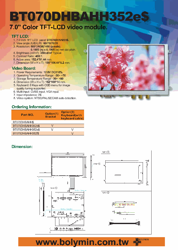 BT070DHBAHH_4847713.PDF Datasheet