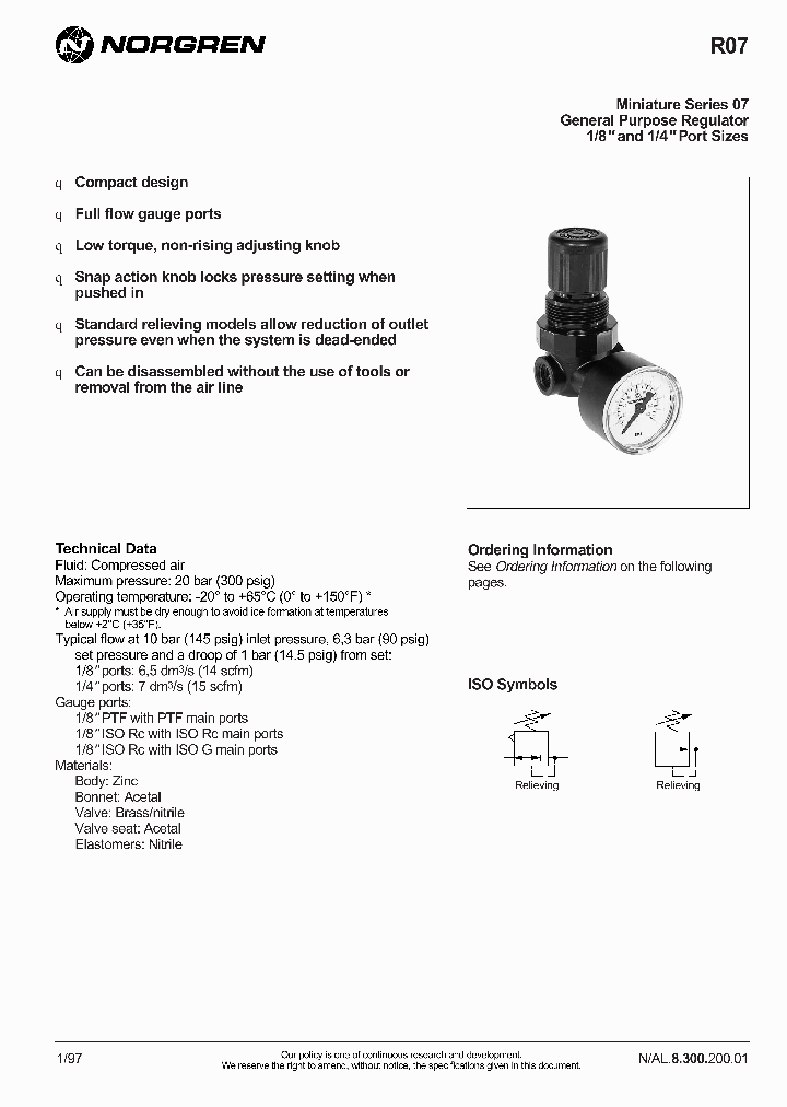 R07-100-RNKG_1215491.PDF Datasheet