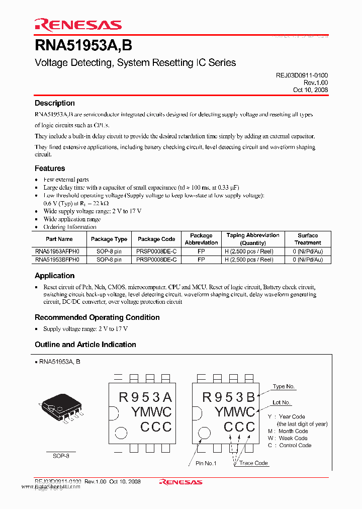 RNA51953A_1960675.PDF Datasheet