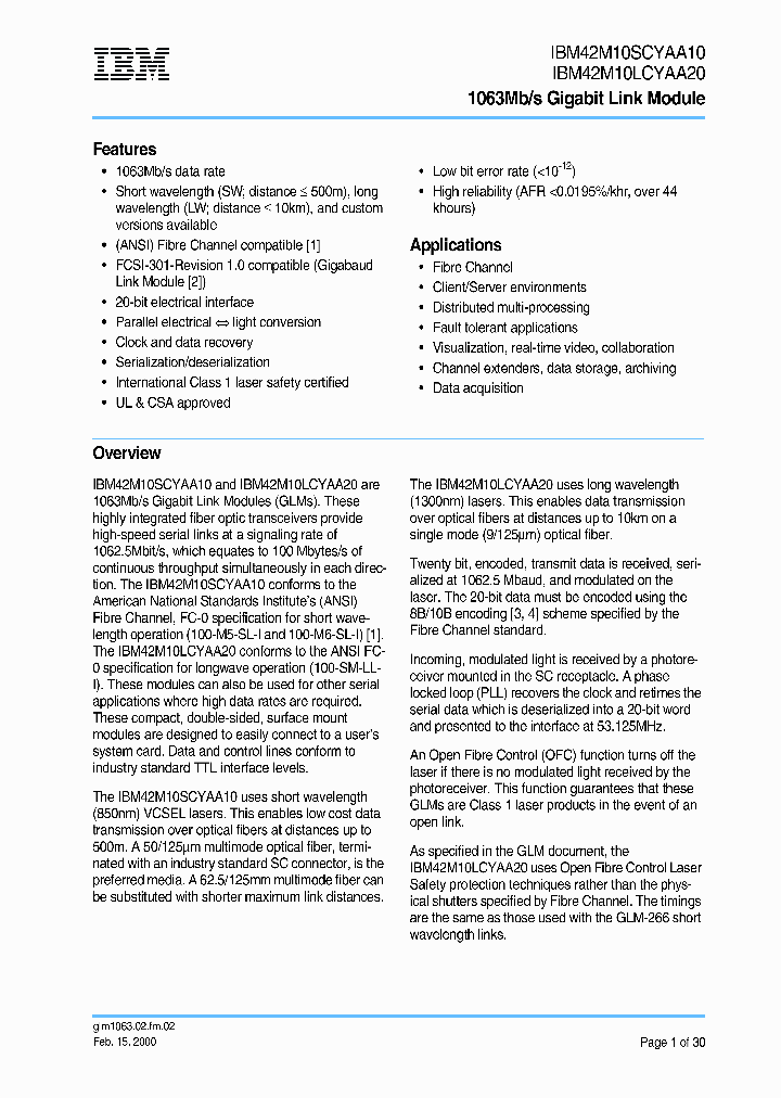 IBM42M10SCYAA10_2976514.PDF Datasheet
