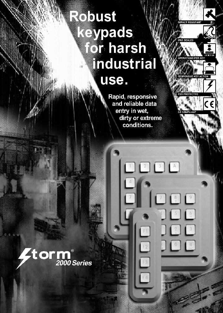 2K16T101_3002632.PDF Datasheet