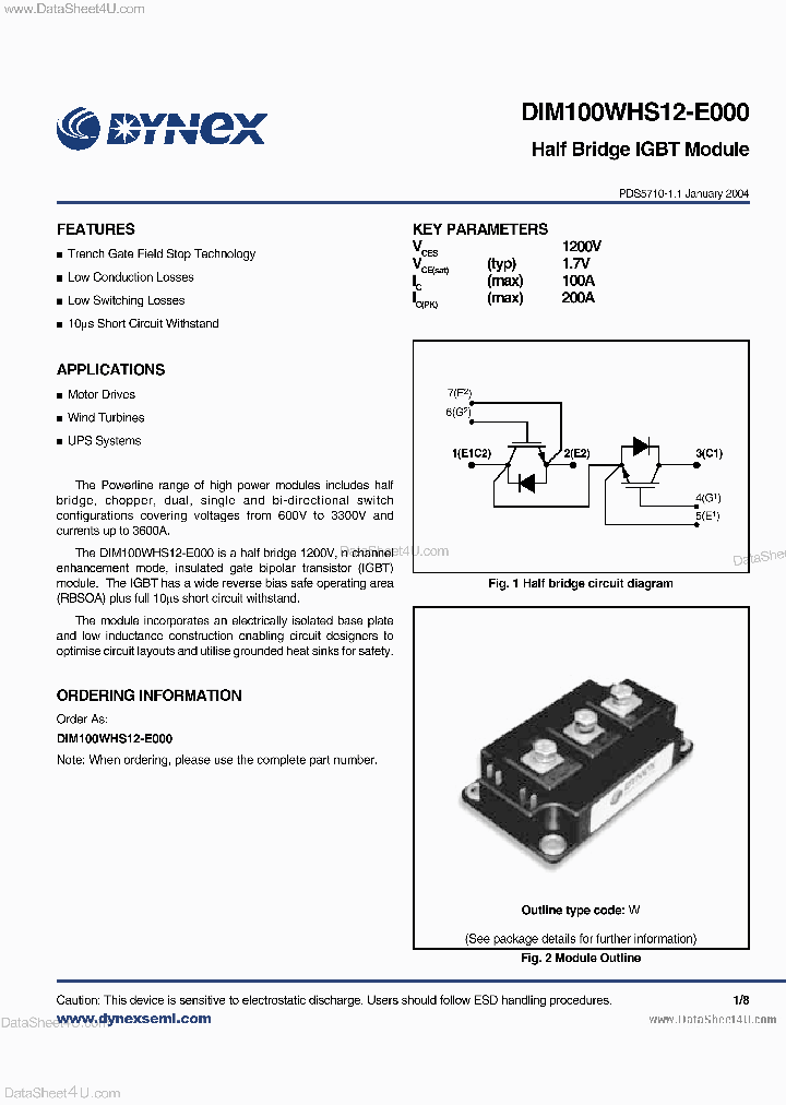 DIM100WHS12-E000_3676246.PDF Datasheet