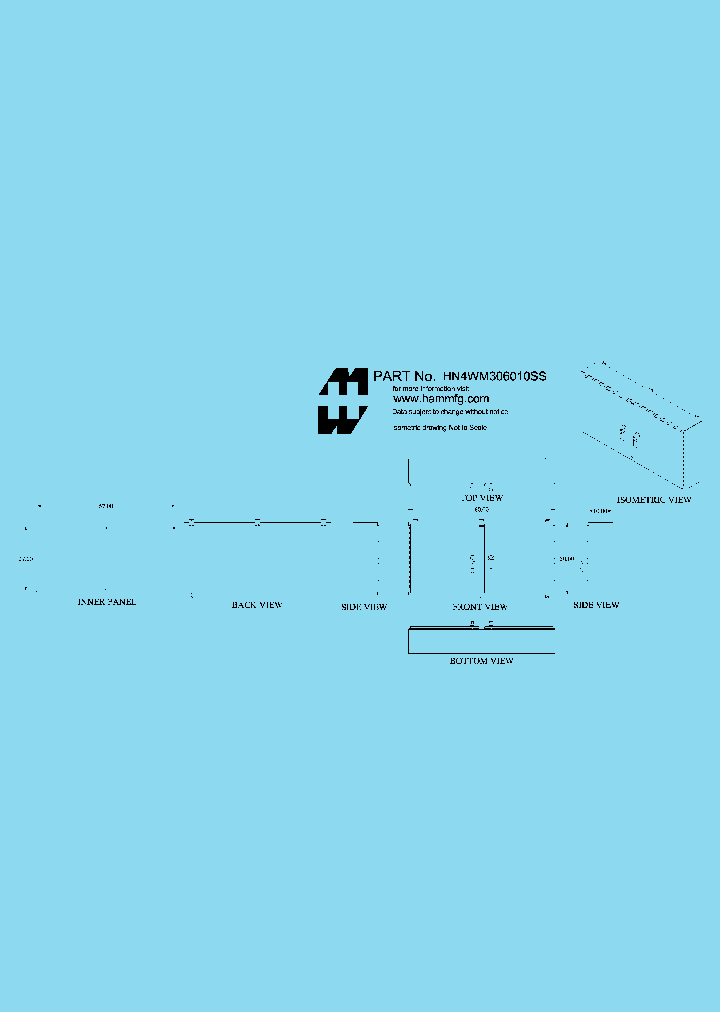 HN4WM306010SS_7710765.PDF Datasheet