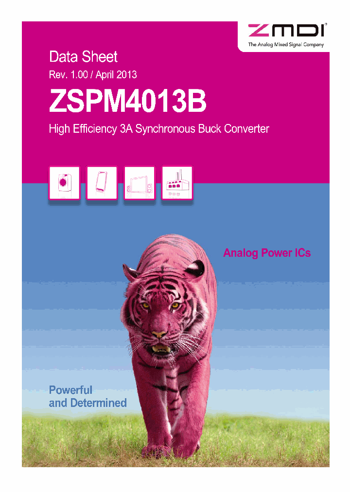 ZSPM4013B_8363593.PDF Datasheet